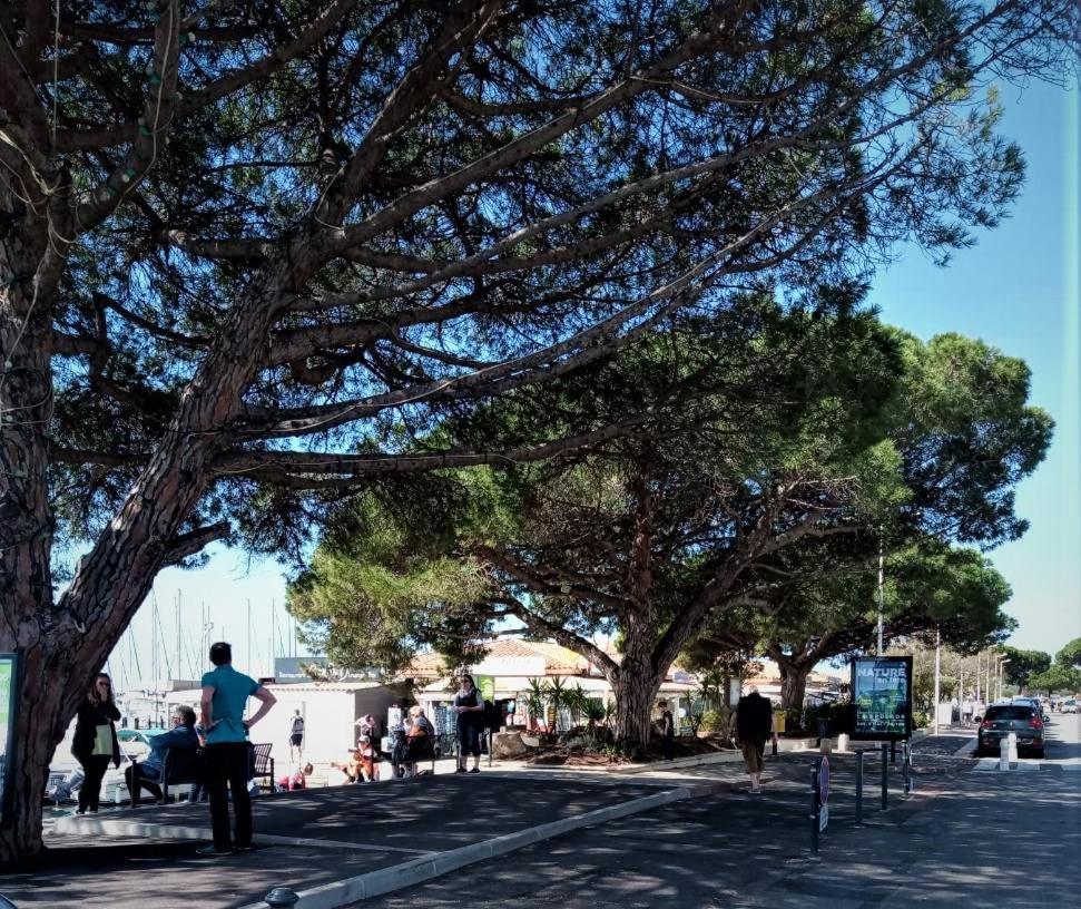 Le Jardin De La Plage - Linges Inclus La Londe-les-Maures Buitenkant foto